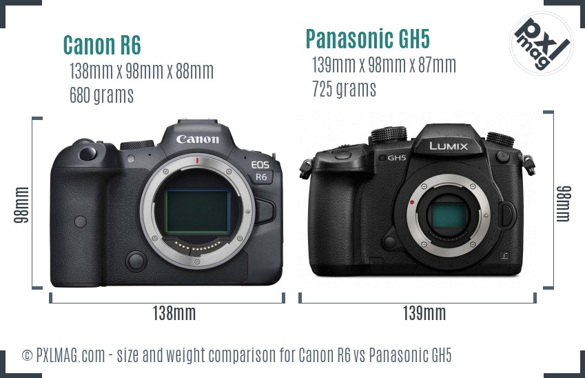 Canon R6 vs Panasonic GH5 size comparison Canon R6 vs Panasonic GH5 size comparison