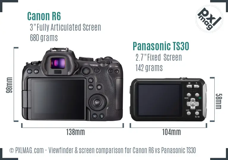 Canon R6 vs Panasonic TS30 Screen and Viewfinder comparison