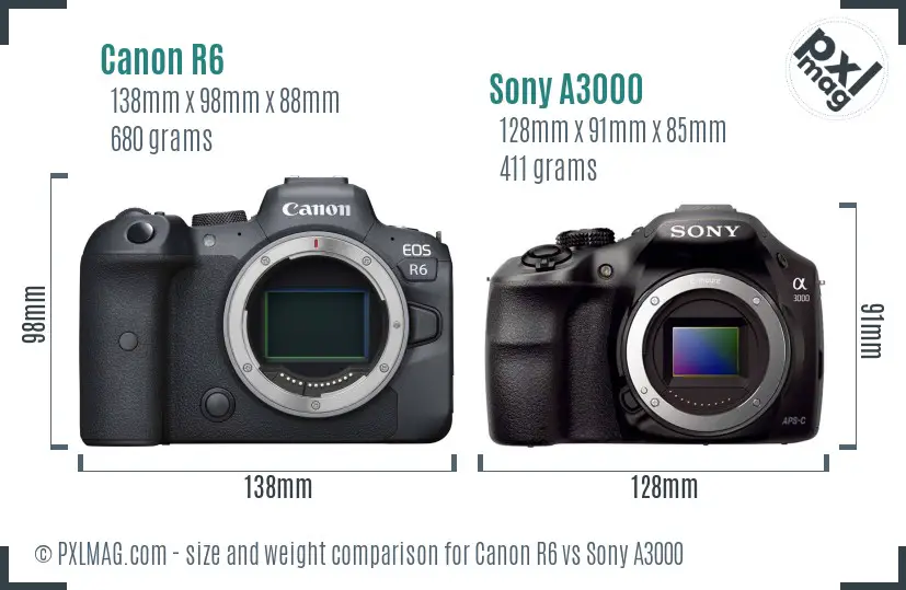 Canon R6 vs Sony A3000 size comparison
