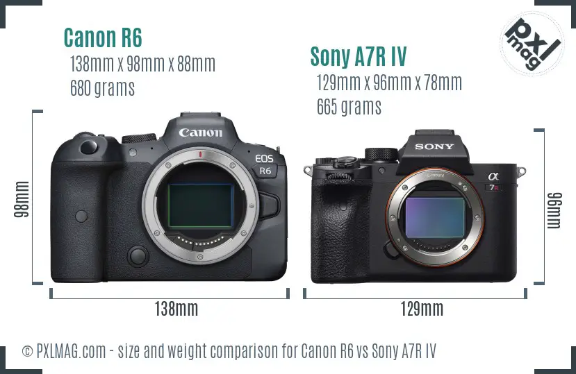 Canon R6 vs Sony A7R IV size comparison