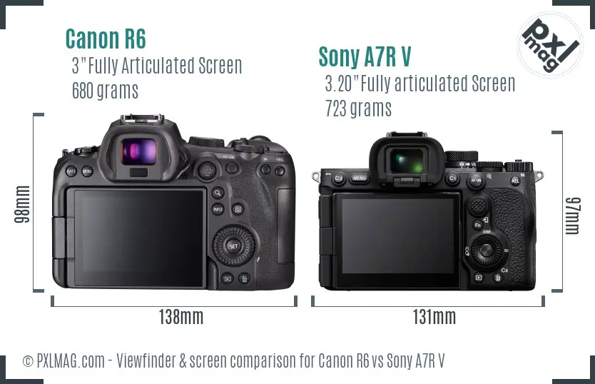 Canon R6 vs Sony A7R V Screen and Viewfinder comparison
