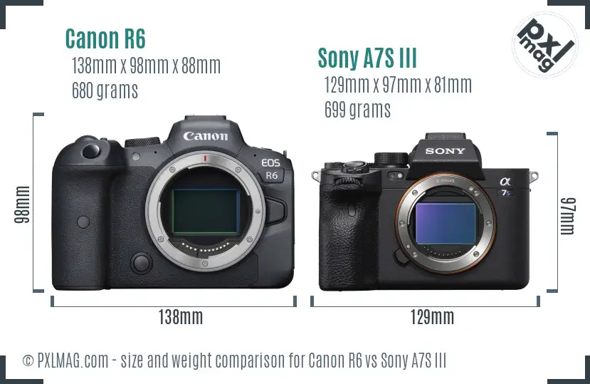 Canon R6 vs Sony A7S III size comparison
