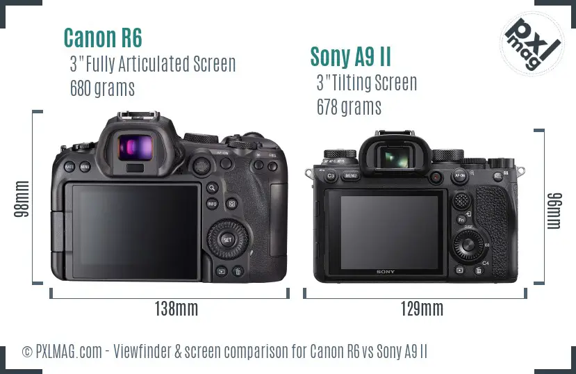 Canon R6 vs Sony A9 II Screen and Viewfinder comparison