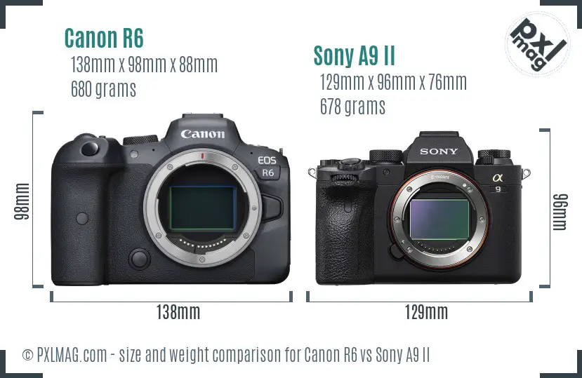 Canon R6 vs Sony A9 II size comparison