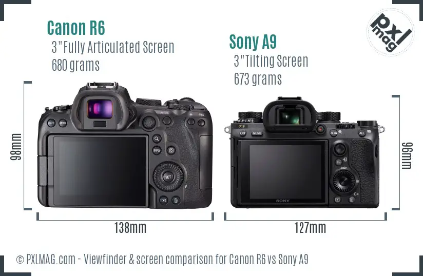 Canon R6 vs Sony A9 Screen and Viewfinder comparison