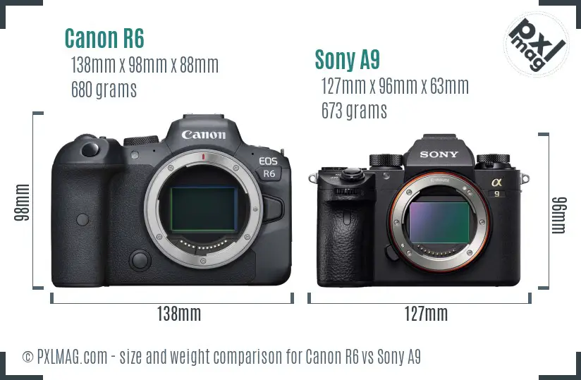 Canon R6 vs Sony A9 size comparison