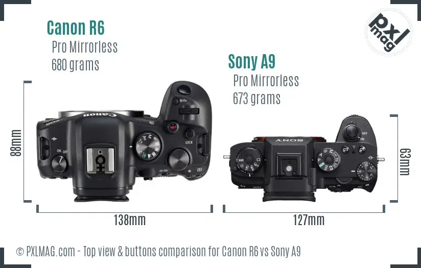 Canon R6 vs Sony A9 top view buttons comparison