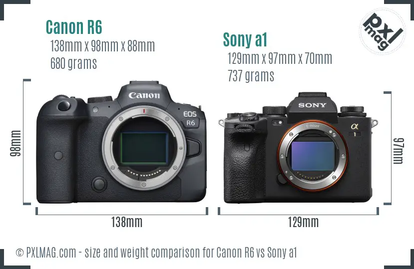 Canon R6 vs Sony a1 size comparison