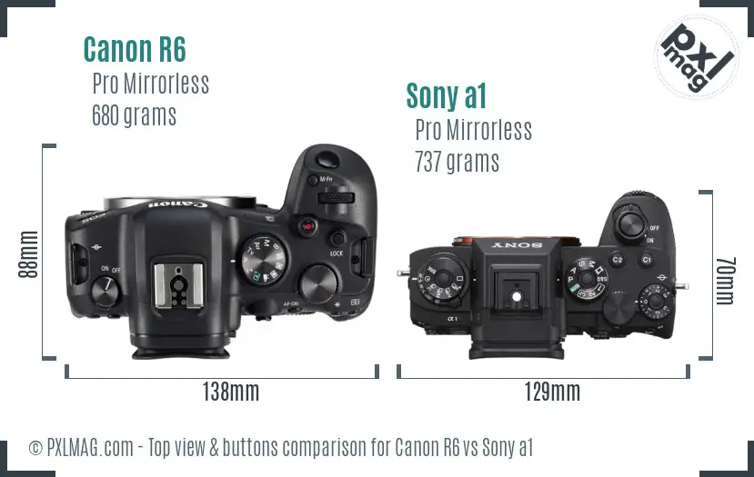 Canon R6 vs Sony a1 top view buttons comparison