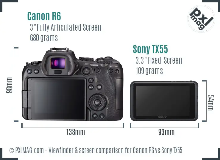 Canon R6 vs Sony TX55 Screen and Viewfinder comparison
