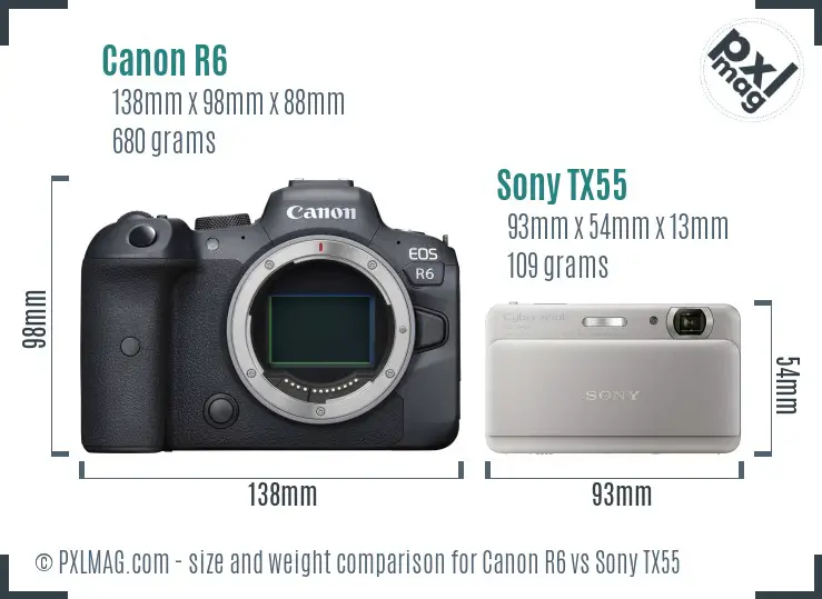 Canon R6 vs Sony TX55 size comparison