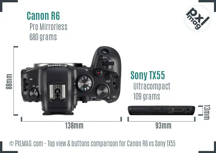 Canon R6 vs Sony TX55 top view buttons comparison