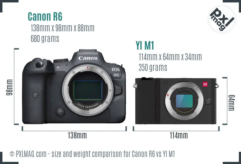 Canon R6 vs YI M1 size comparison
