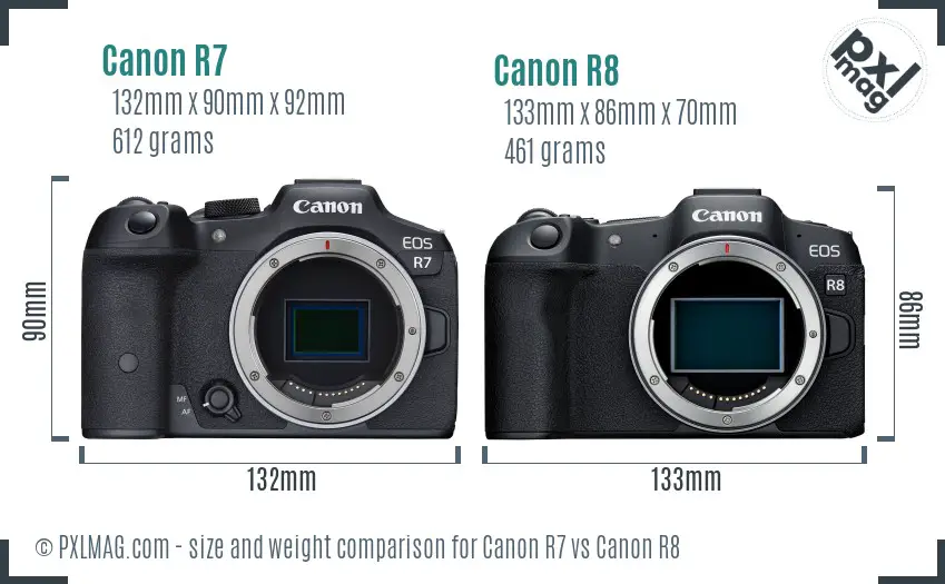 Canon R7 vs Canon R8 size comparison