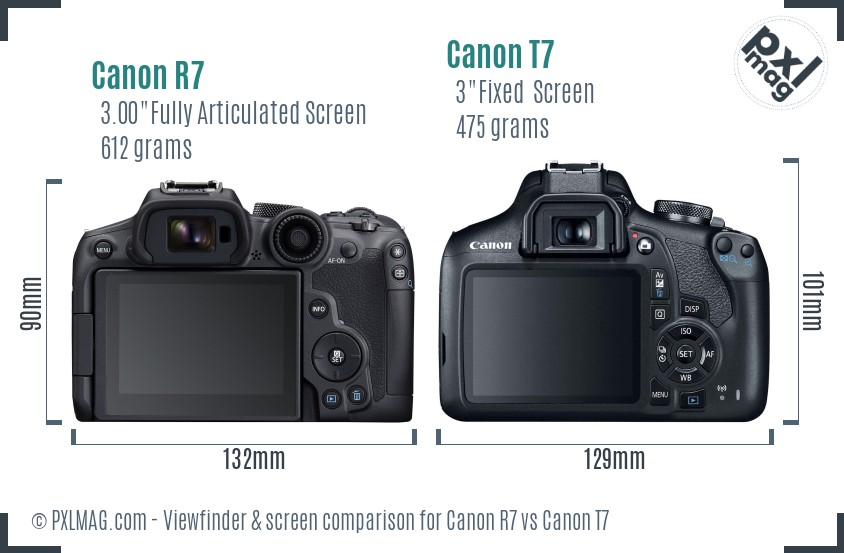 Canon R7 vs Canon T7 Screen and Viewfinder comparison