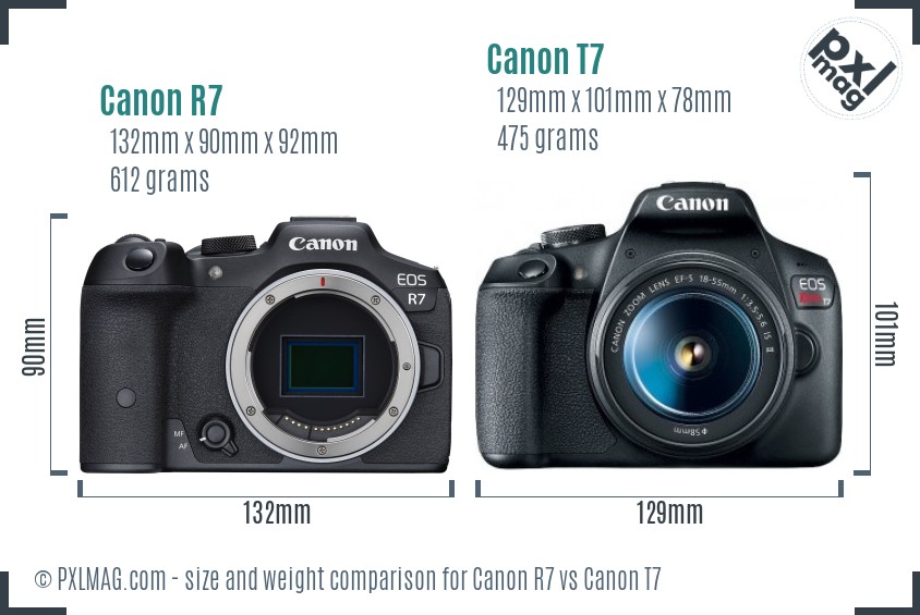 Canon R7 vs Canon T7 size comparison