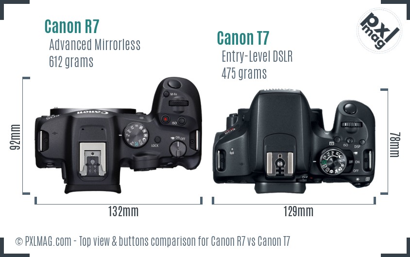 Canon R7 vs Canon T7 top view buttons comparison