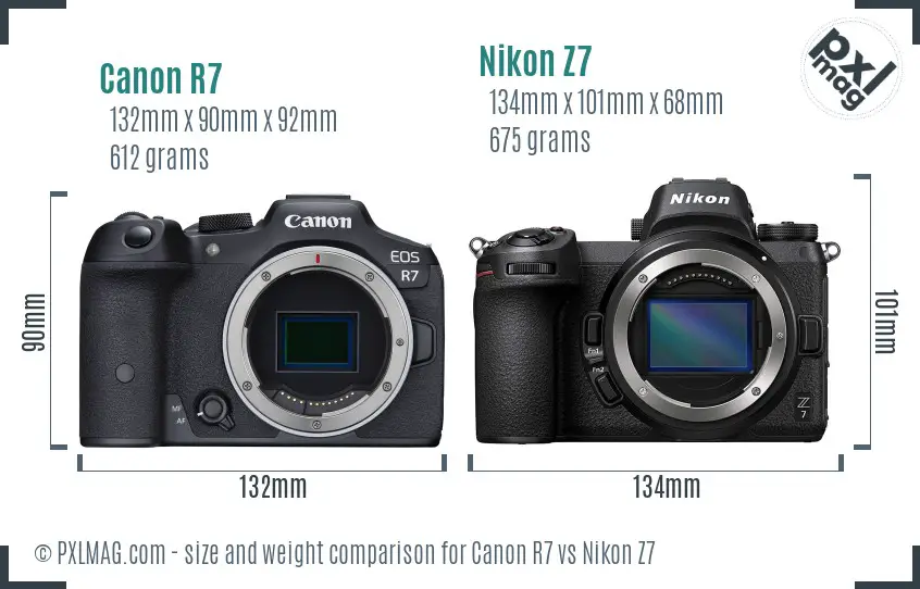 Canon R7 vs Nikon Z7 size comparison