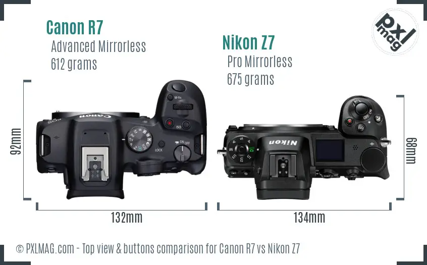 Canon R7 Vs Nikon Z7 Detailed Comparison 4493