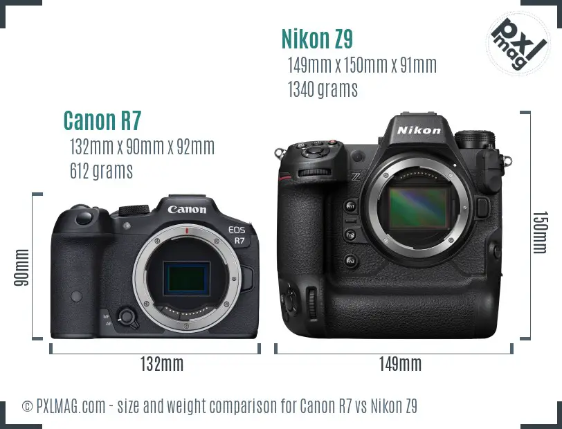 Canon R7 vs Nikon Z9 size comparison