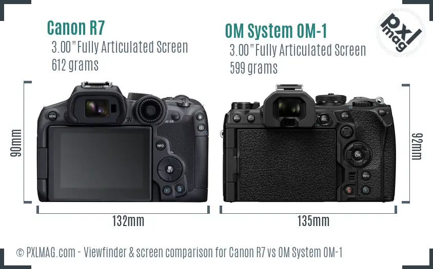 Canon R7 vs OM System OM-1 Screen and Viewfinder comparison