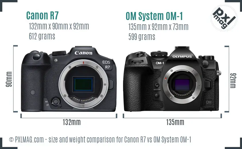 Canon R7 vs OM System OM-1 size comparison