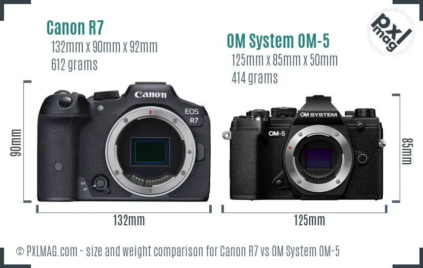 Canon R7 vs OM System OM-5 size comparison
