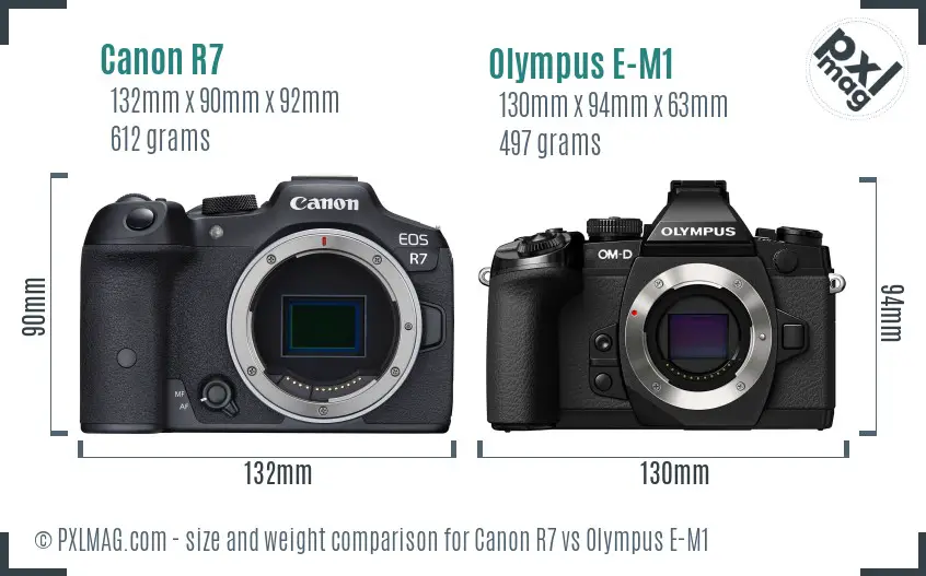 Canon R7 vs Olympus E-M1 size comparison