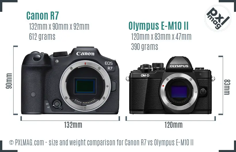 Canon R7 vs Olympus E-M10 II size comparison Canon R7 vs Olympus E-M10 II size comparison