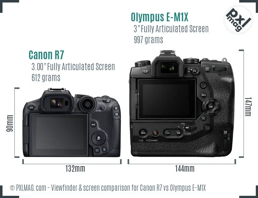 Canon R7 vs Olympus E-M1X Screen and Viewfinder comparison