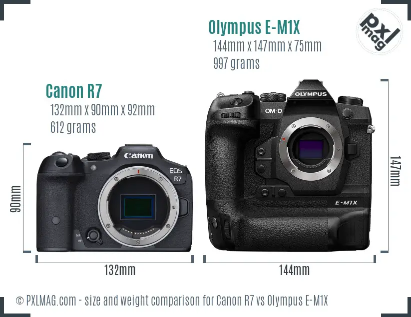 Canon R7 vs Olympus E-M1X size comparison