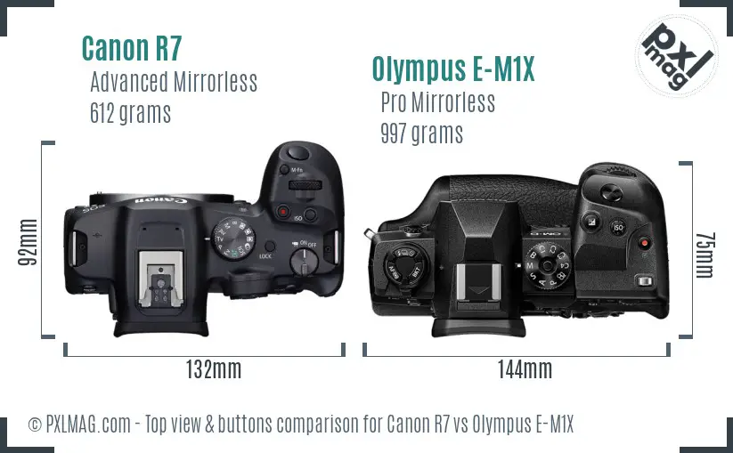 Canon R7 vs Olympus E-M1X top view buttons comparison