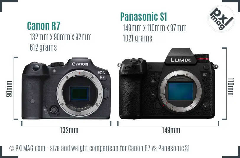 Canon R7 vs Panasonic S1 size comparison