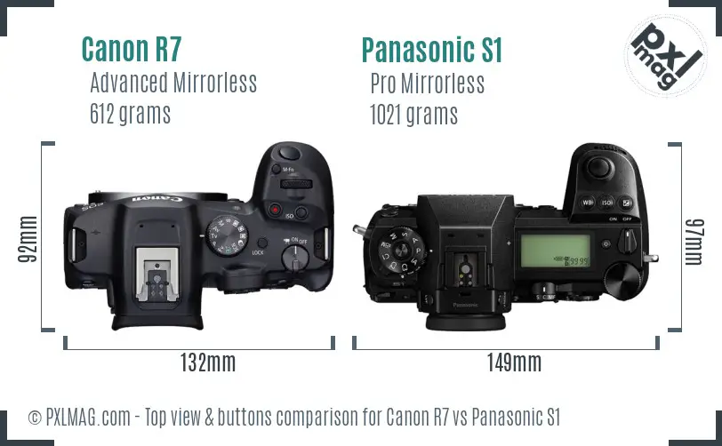 Canon R7 vs Panasonic S1 top view buttons comparison