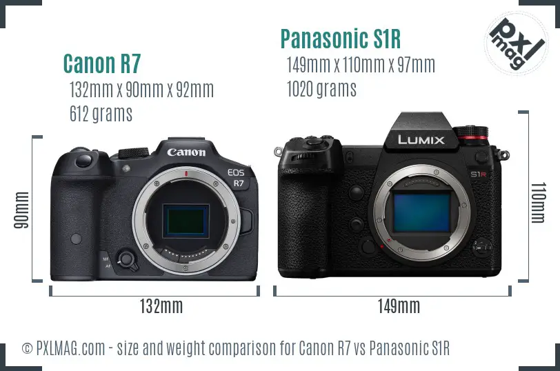 Canon R7 vs Panasonic S1R size comparison Canon R7 vs Panasonic S1R size comparison