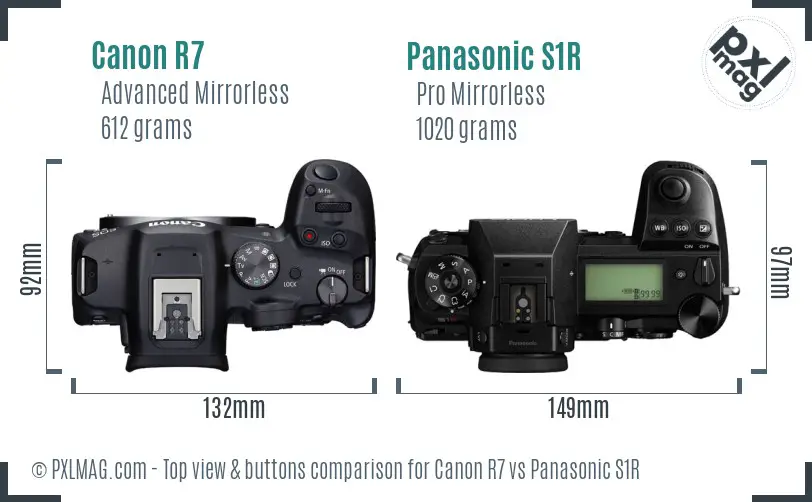 Canon R7 vs Panasonic S1R top view buttons comparison Canon R7 vs Panasonic S1R top view buttons comparison