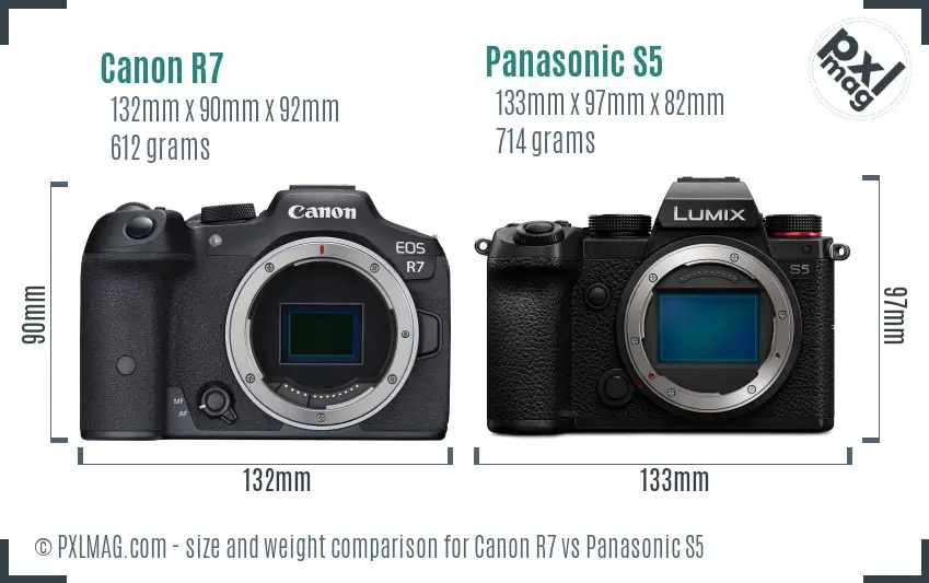Canon R7 vs Panasonic S5 size comparison