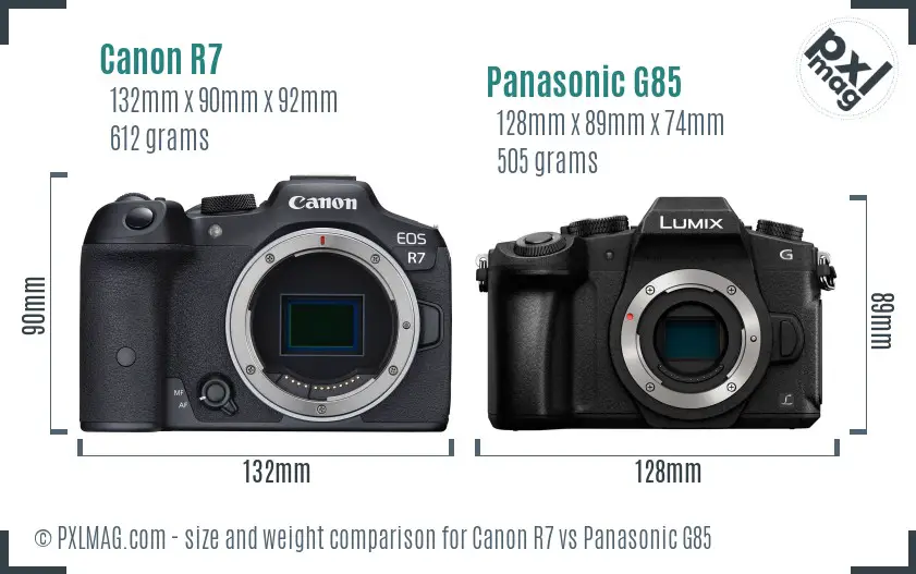 Canon R7 vs Panasonic G85 size comparison