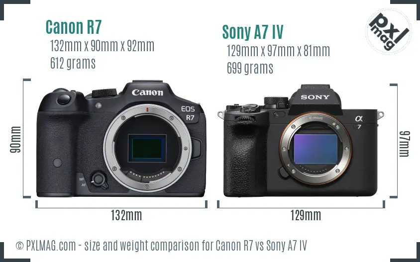 Canon R7 vs Sony A7 IV size comparison