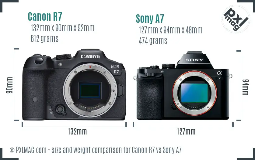 Canon R7 vs Sony A7 size comparison