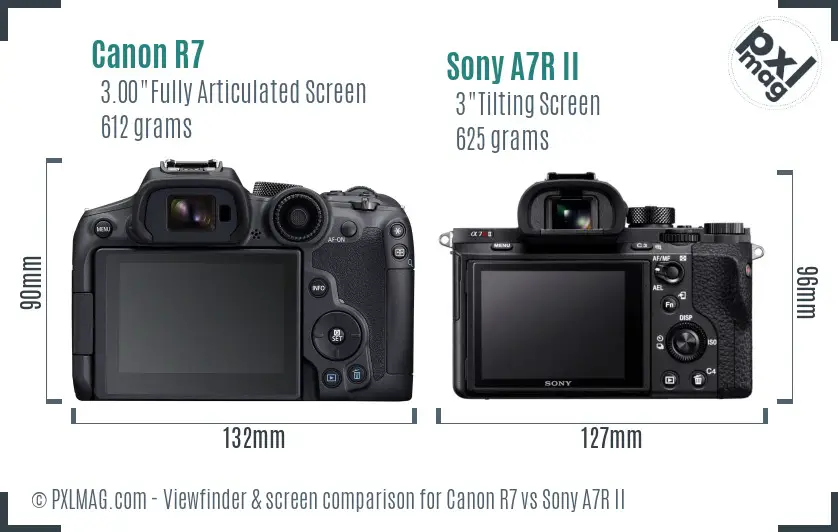 Canon R7 vs Sony A7R II Screen and Viewfinder comparison