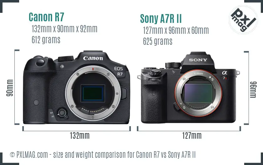 Canon R7 vs Sony A7R II size comparison