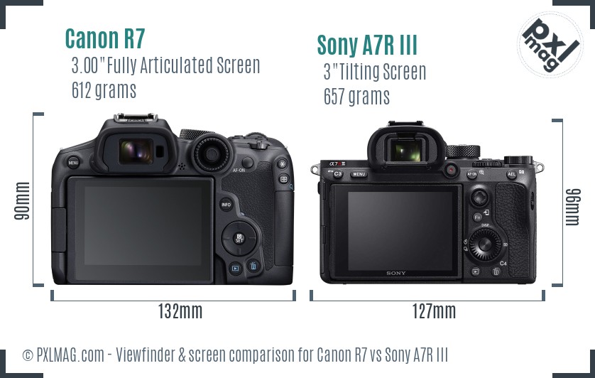 Canon R7 vs Sony A7R III Screen and Viewfinder comparison