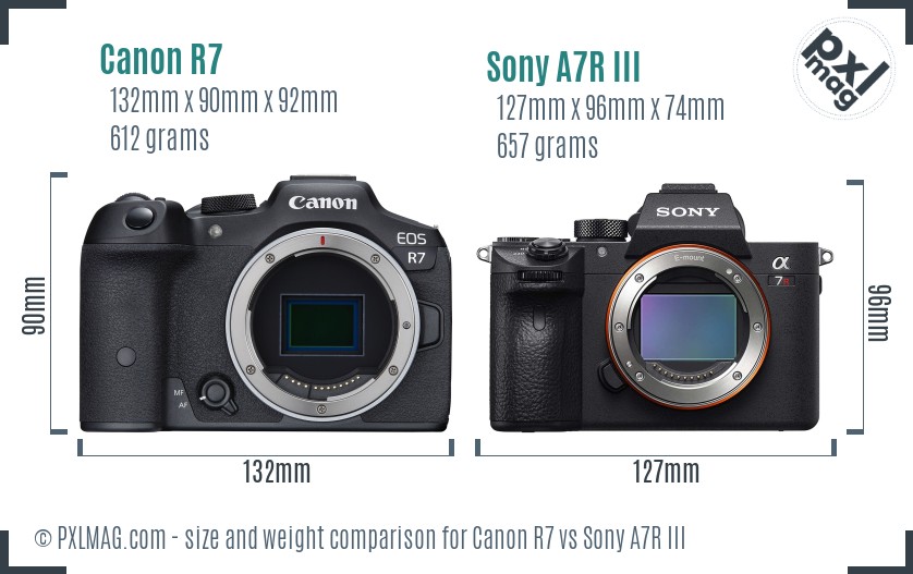 Canon R7 vs Sony A7R III size comparison
