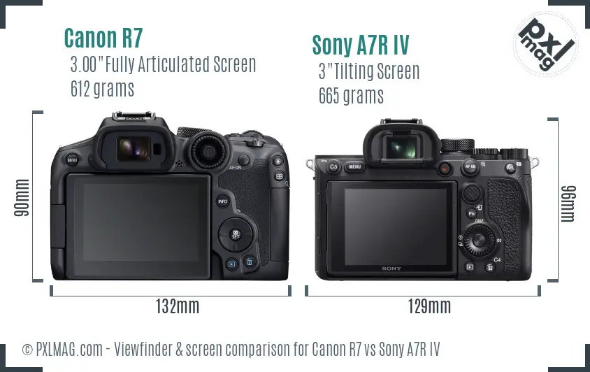 Canon R7 vs Sony A7R IV Screen and Viewfinder comparison