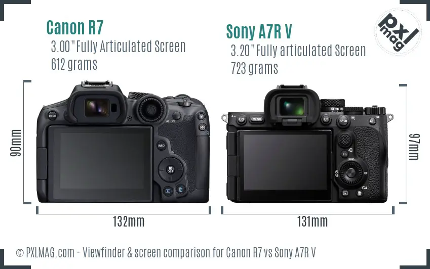 Canon R7 vs Sony A7R V Screen and Viewfinder comparison Canon R7 vs Sony A7R V Screen and Viewfinder comparison