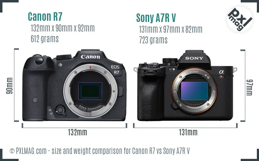Canon R7 vs Sony A7R V size comparison Canon R7 vs Sony A7R V size comparison