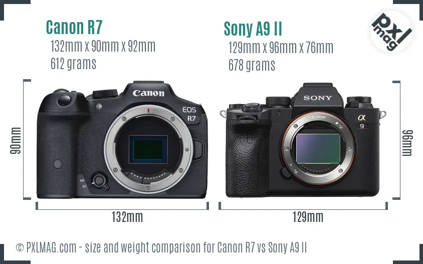 Canon R7 vs Sony A9 II size comparison Canon R7 vs Sony A9 II size comparison