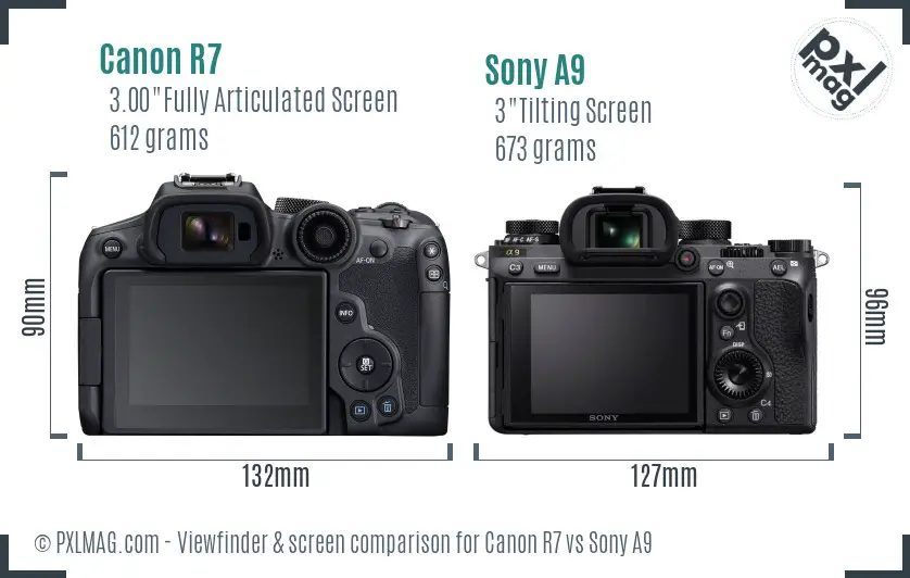 Canon R7 vs Sony A9 Screen and Viewfinder comparison Canon R7 vs Sony A9 Screen and Viewfinder comparison