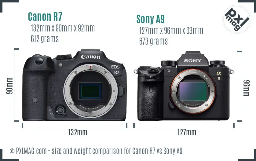 Canon R7 vs Sony A9 size comparison Canon R7 vs Sony A9 size comparison